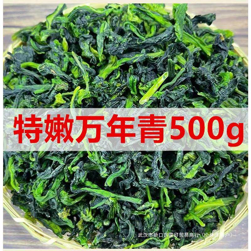 新货新货万年青500g干菜脱水蔬菜干青菜干橄榄菜干菜干货嫩菜心野