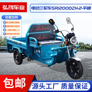 电瓶三轮车拉货运快递小平板车 电动三轮车摆摊家用成人代步车新款
