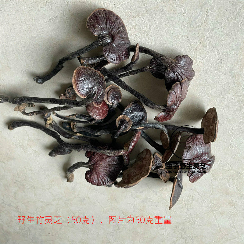 新日期野生竹灵芝 薄叶竹汤料 野生竹灵芝 海南野生灵芝灵芝灵芝