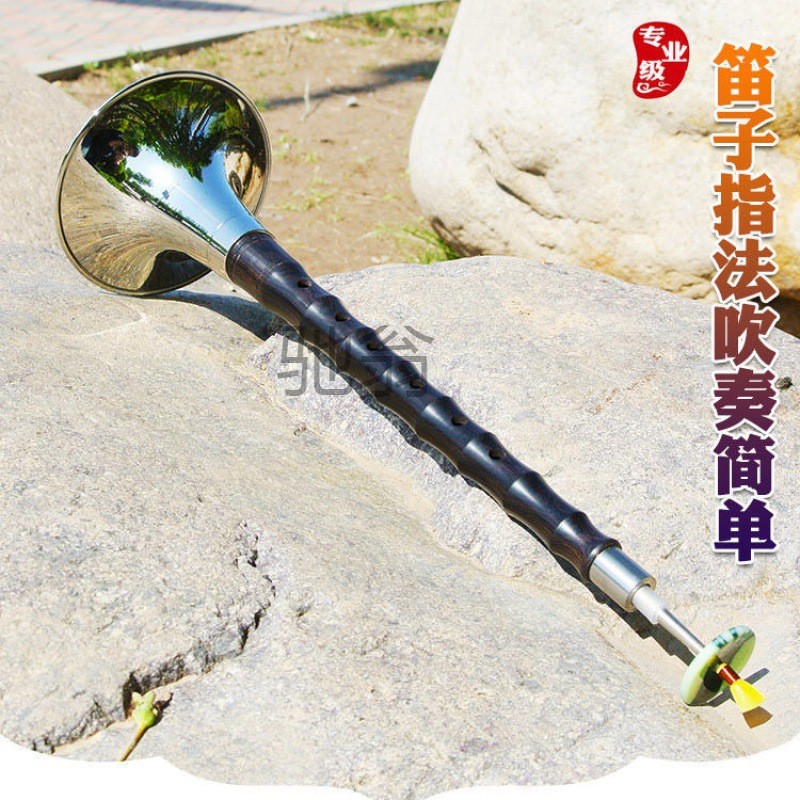 f1t笛子唢呐乐器全套乌木杆专业六孔唢呐6孔大中小号成人儿童初
