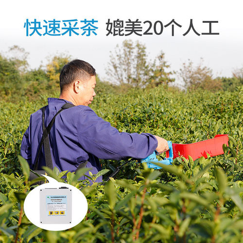 热销24v便捷式无修剪电动采茶机单人小型手提充电式刷机庭院式摘