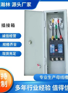 插接母线槽箱接线箱200a250a300a400a500a630a