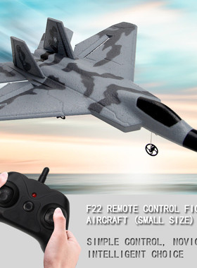 飞熊FX622遥控飞机新款小号F22遥控战斗机两通道2.4G遥控泡沫飞机