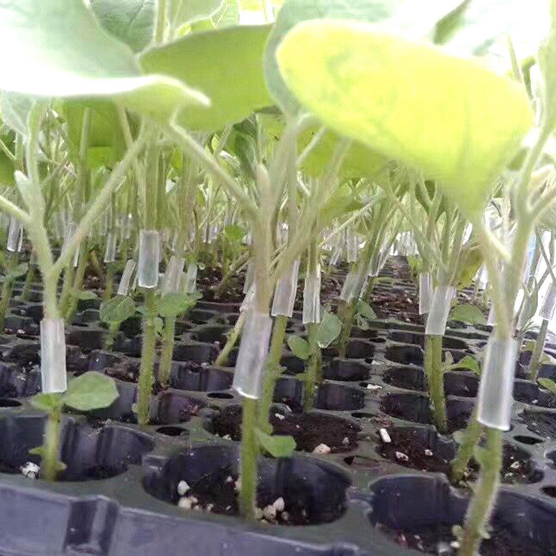 厂家直销瓜果嫁接嫁接套管蔬菜管植物嫁接连接软管量大价优