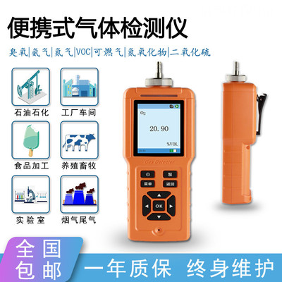 氮氧化物检测仪二氧化硫一氧化氮一氧化碳VOC锅炉排放烟气分析仪