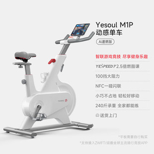 野小兽yesoul室内自发电动感单车家用运动健身车智联器材静音m1p