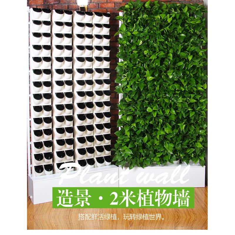 若澜园艺若澜园艺 2米植物墙 自动灌溉 鲜活植物屏风BG 塑料