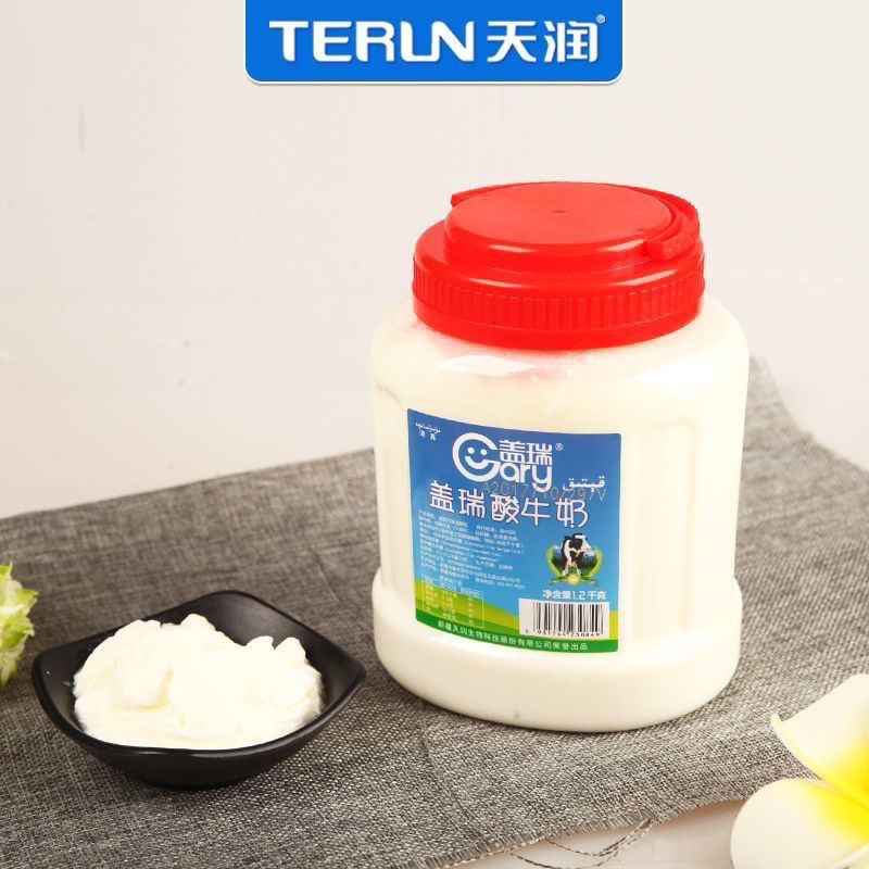 速发2.斤装发酵乳酸奶.2公斤新疆天润盖瑞酸奶大桶装源头工厂一件