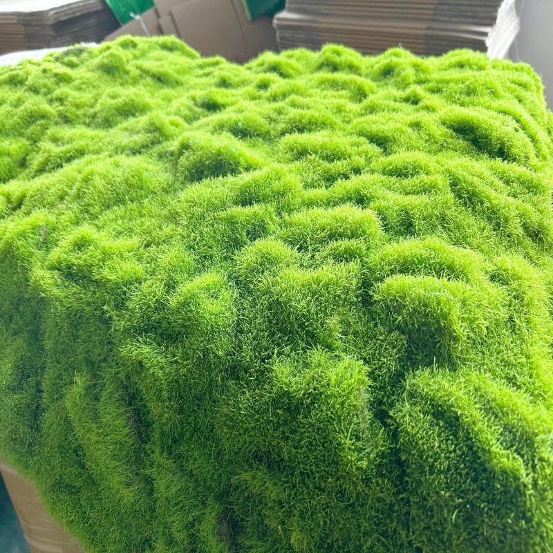 仿真植物绿植墙苔藓青苔地毯草坪园林景观铺设门头水族长廊文化装