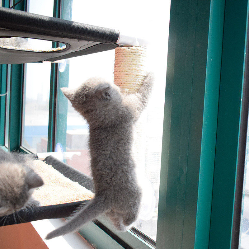 热销乐优派厂家直销宠物窝悬挂式挂窝吸盘猫窝窗台可拆洗双层猫吊,宠物/宠物食品及用品,猫笼子/猫别墅,淘宝优惠券,粉丝福利购,淘宝优惠卷