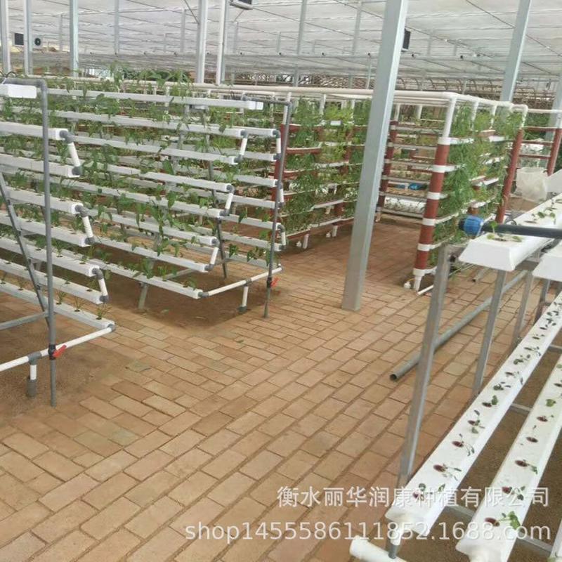 热销温室大棚无土栽培设备管道设备水培立体蔬菜种植式