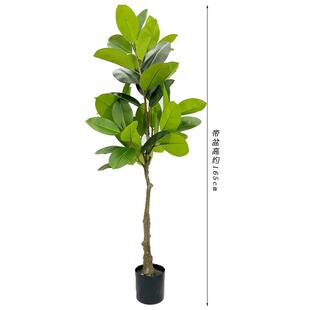 仿真植物盆栽仿生橡胶树假绿植大型盆景室内落地摆件家居装饰造景