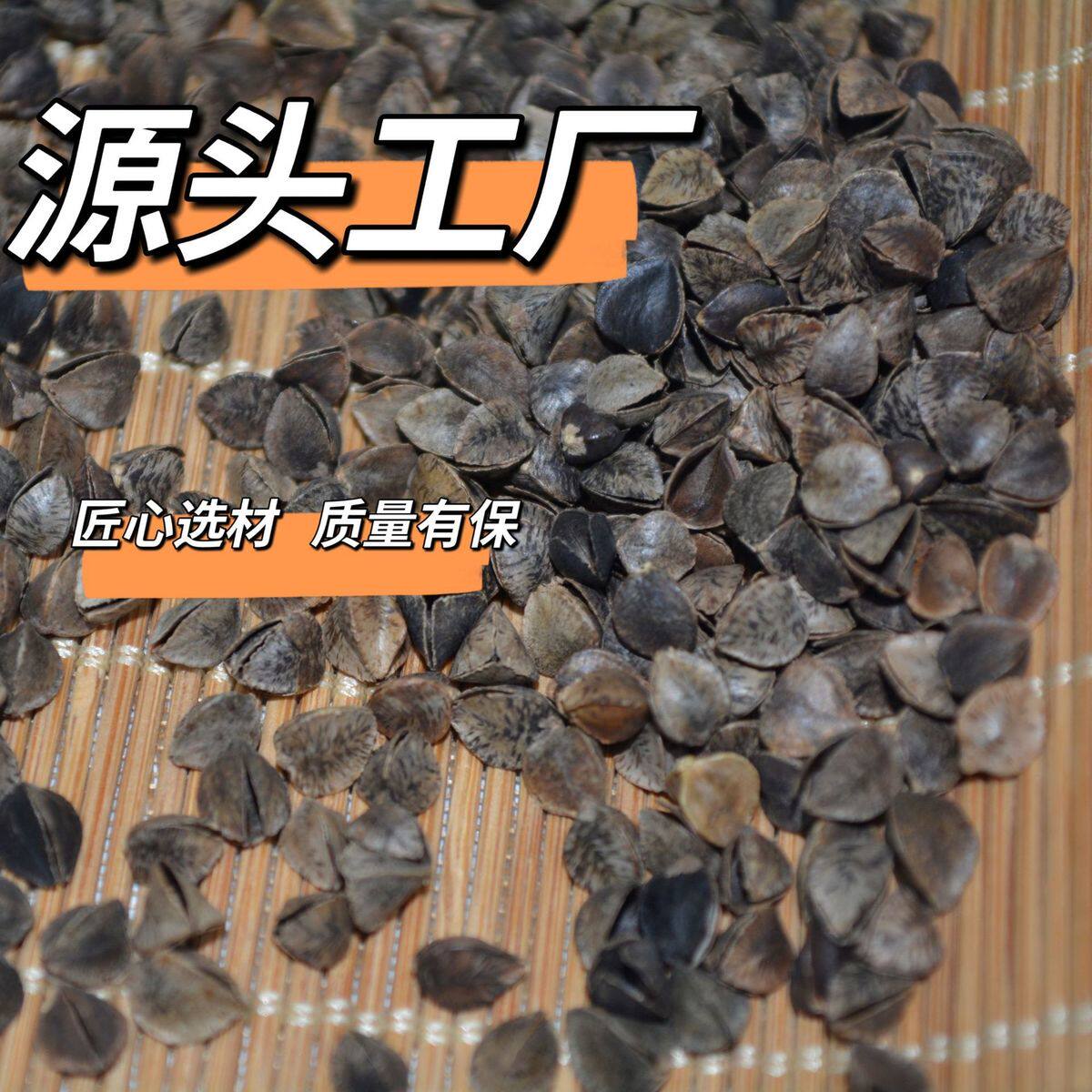 【厂家】荞麦壳荞麦皮批发熟荞麦壳枕头填充物高温免洗家纺甜荞壳