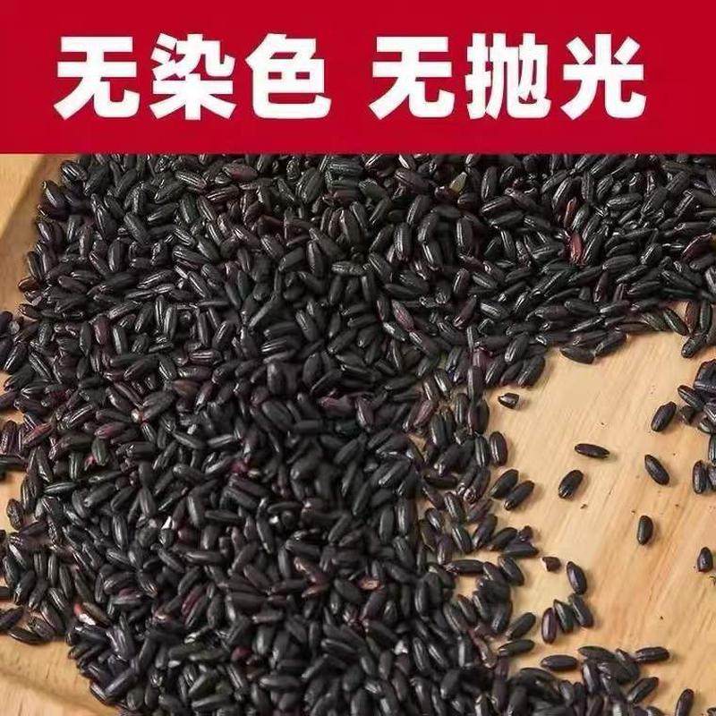 黑米500g东北五常新五谷杂粮黑糯米无染色煮粥八宝粥黑米粥黑香米