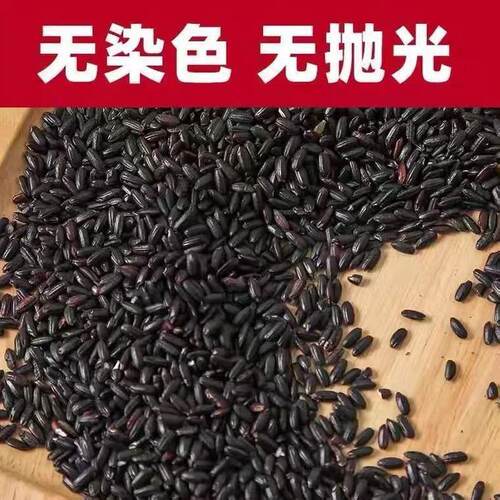 黑米500g东北五常新五谷杂粮黑糯米无染色煮粥八宝粥黑米粥黑香米