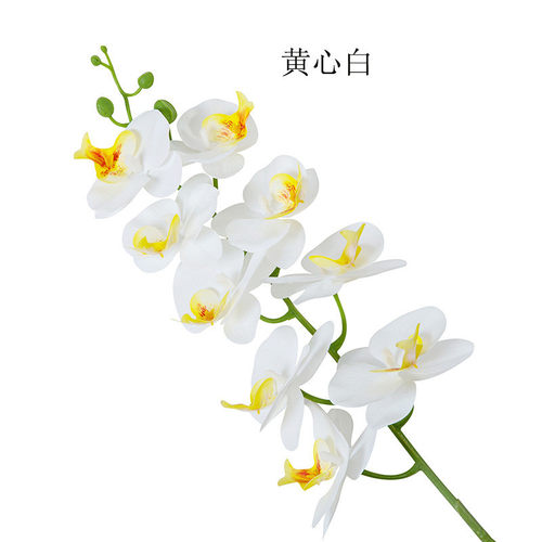 室内仿真植物蝴蝶兰盆景现代家居装饰盆栽礼品假花手感塑料套装