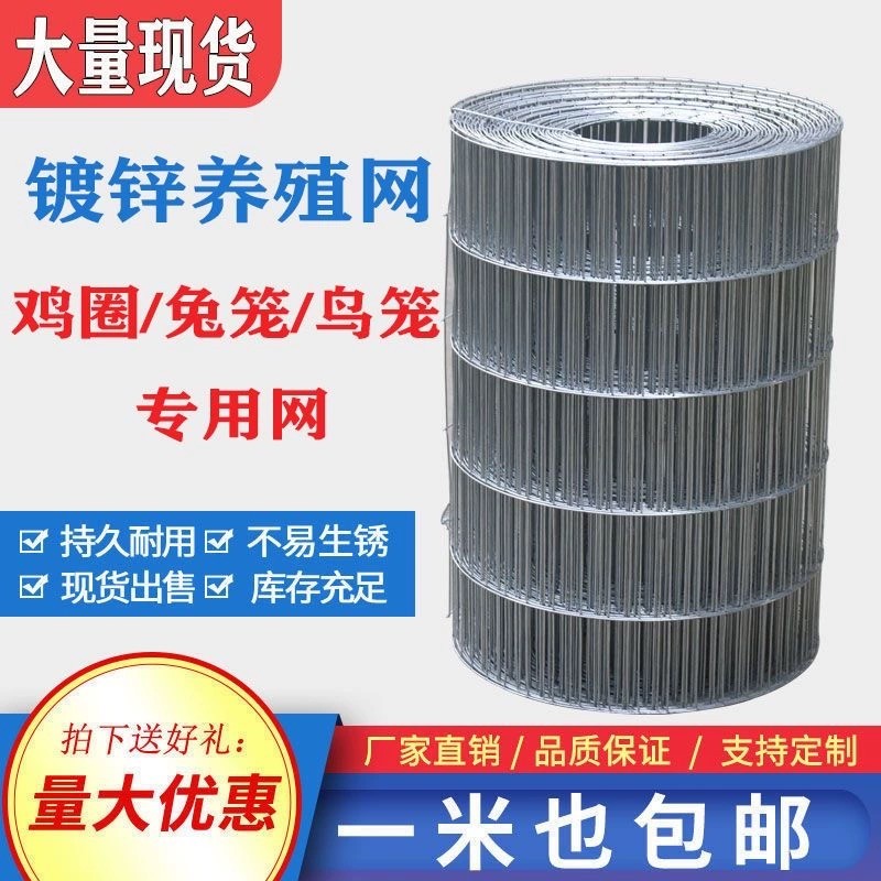 加粗镀锌小长孔电焊网铁丝网片网格丝养殖卷网鸡鸽笼鸟笼阳台垫底