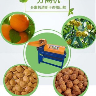 山杏去皮机山桃杏核机鲜杏去肉机杏核杏肉分离机剥皮机扒皮机