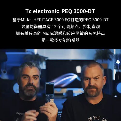 热销tcelectronicpeq3000-dt硬件参数12波段立体声midas接口eq插
