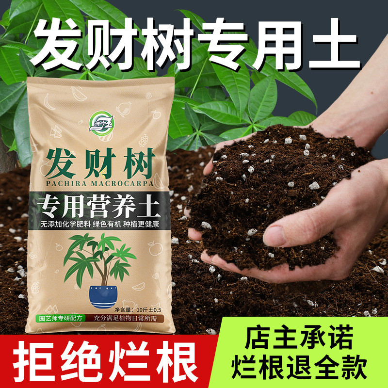 发财树专用土营养土花土发财树肥料专用肥土家用盆栽绿植种植土壤