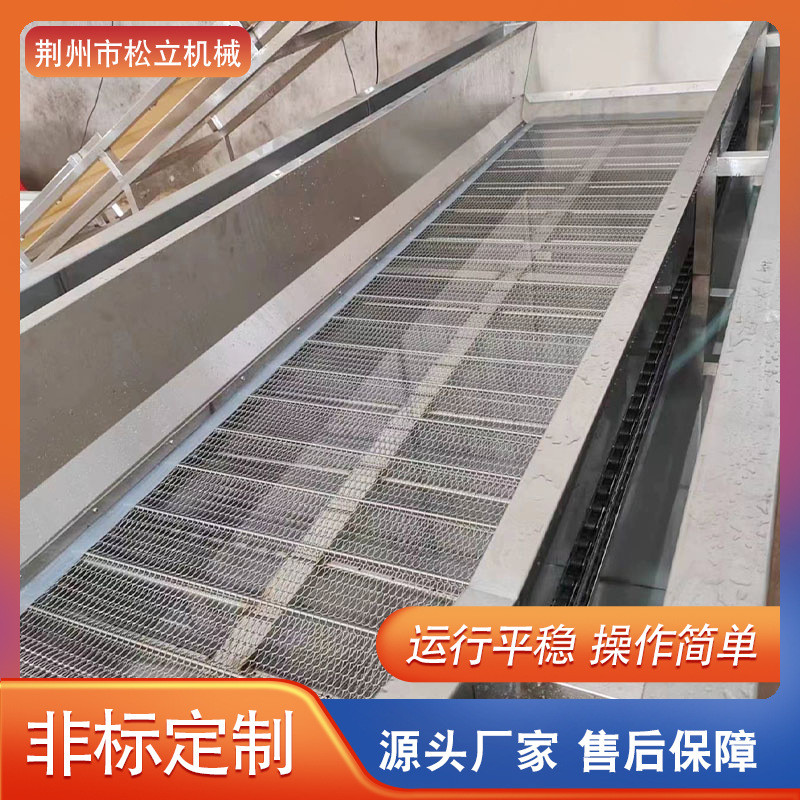 热销全自动果蔬气泡清洗机桃子葡萄高压喷淋式清洗设备杏菌类清洗