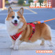 狗狗牵引绳防挣脱可调节胸背带柴犬柯基金毛中大小型犬背心式 狗绳
