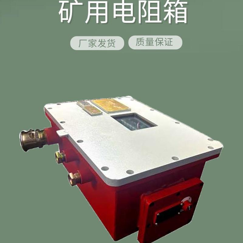 热销爆隔矿用型漏电试验电阻箱dzb-1140(660、380、127)l安全稳定