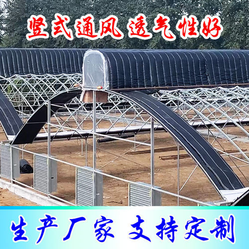 热销新型椭圆管拱棚薄膜连栋温室提包式大棚提包式四季温室