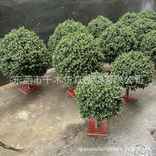 仿真草球灌木球海桐球红叶石楠球假黄杨灌木龟甲冬青球草丛定制厂