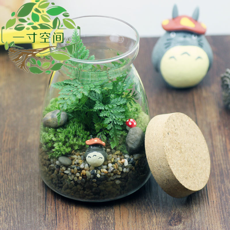 diy微景观t新瓶苔藓创意礼品微景观套装摆件
