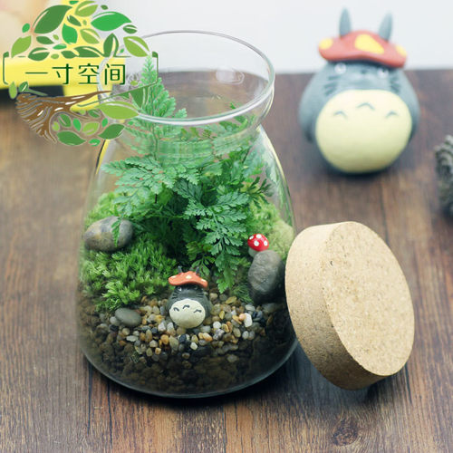 苔藓微景观t新瓶diy套装微景观创意礼品摆件