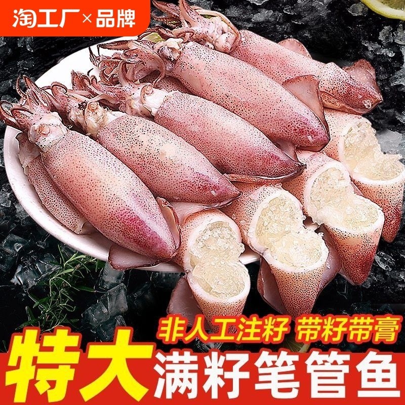 新日期gc海兔子满籽鲜活笔管鱼海鲜新鲜小鱿鱼籽乌墨鱼仔乌贼全水