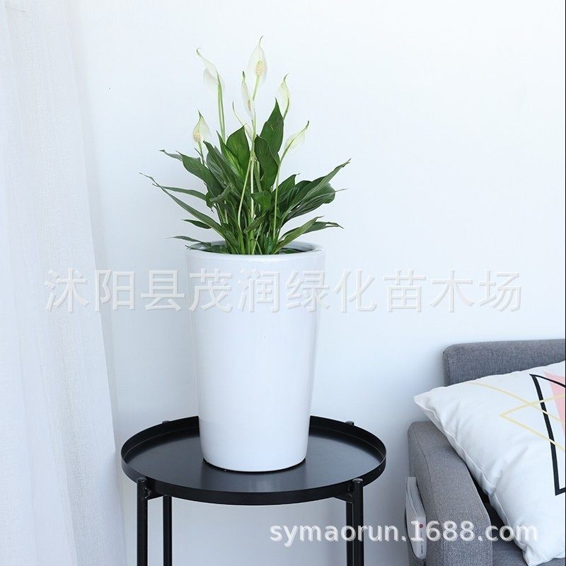 白色陶瓷花盆2021新款设计感大号高大口径落地花盆深北欧简约盆