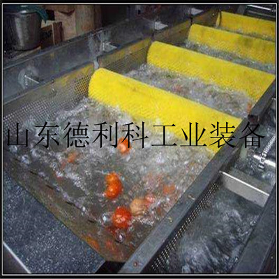 热销毛桃果蔬清洗机器气泡芸豆四季豆毛豆清洗机净菜加工流水线