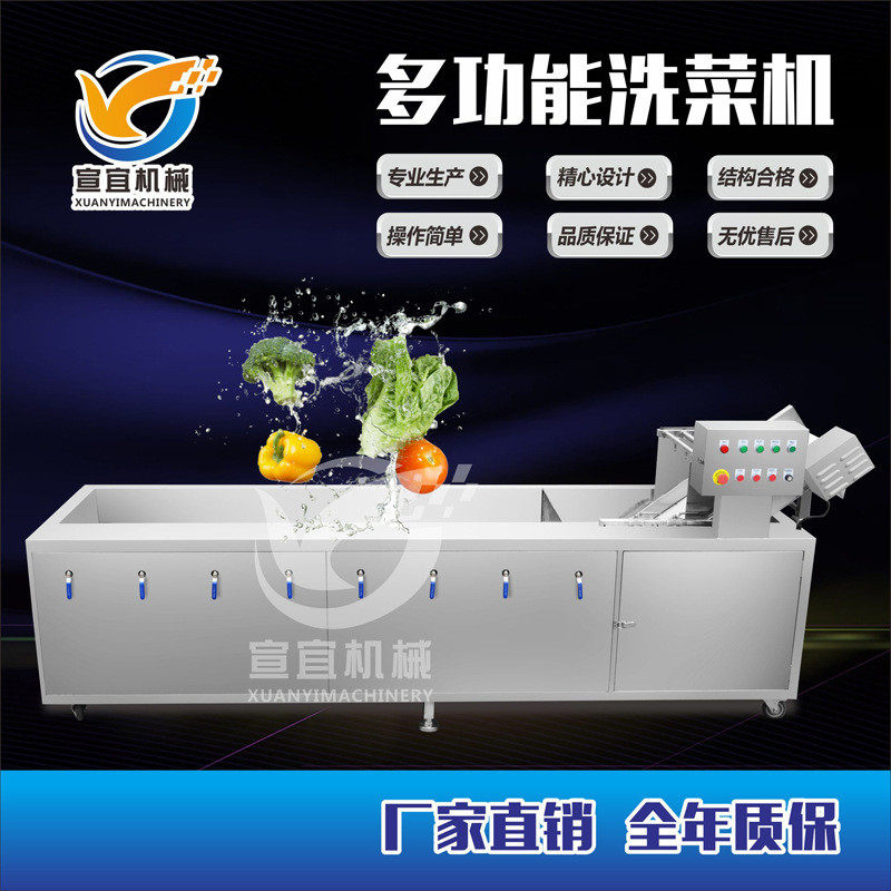 热销残销售仙草蕨菜气泡清洗机 猫爪草仙人草连续式去农厂家清洗