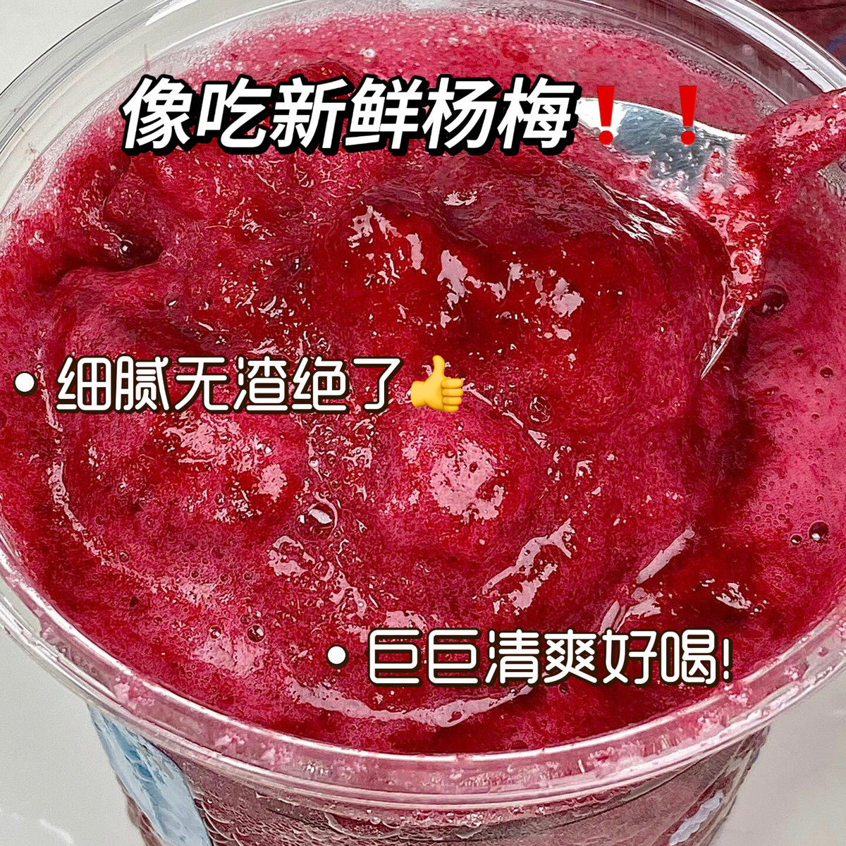 新日期杨梅瑞纳杨梅汁浓缩汁速溶饮料冲剂固体饮料果汁粉夏冷水冲