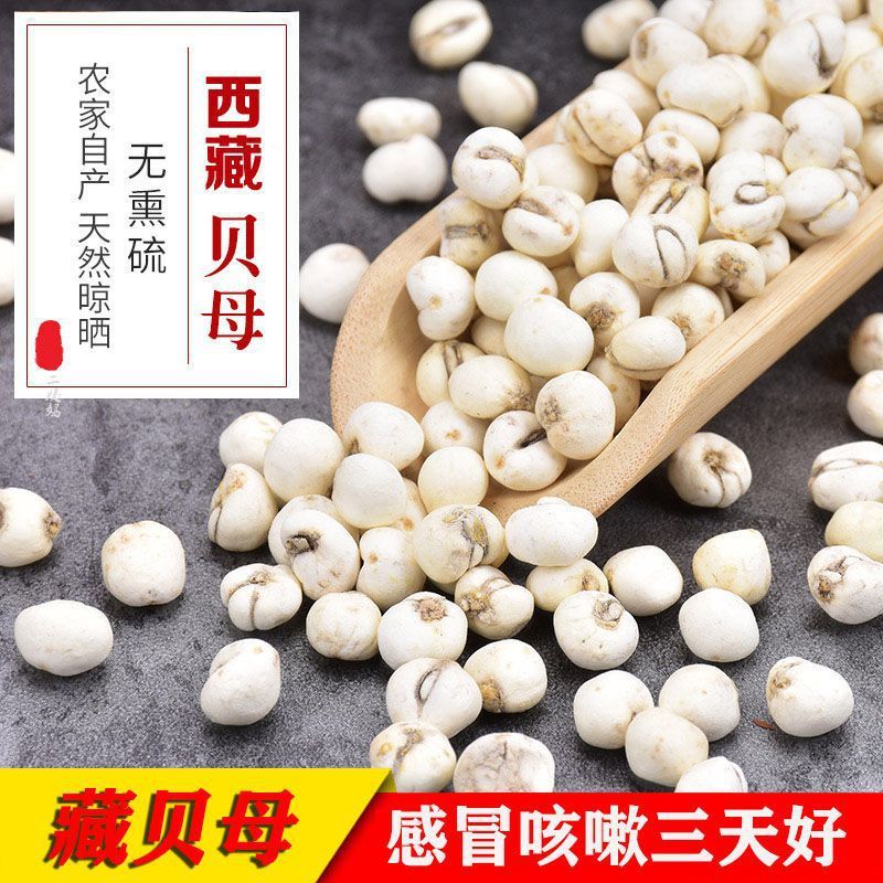 新日期西藏藏贝母野生臧润贝藏族非川青平贝母颗粒见/肺止/咳盒装