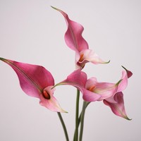仿真花馬蹄蓮 海芋 軟裝樣板間花藝商務(wù)花藝攝影道具新娘手捧花束