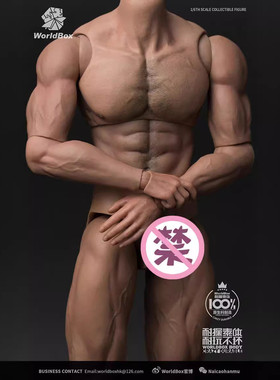热销现货worldboxat0271/6耐操素体壮汉版现货素体男