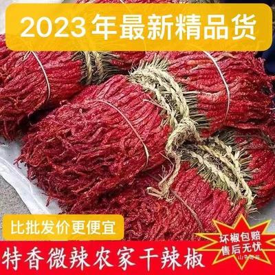 新货辣特香线椒不辣段皮子辣椒的日晒新疆特产微辣二荆条干辣椒辣
