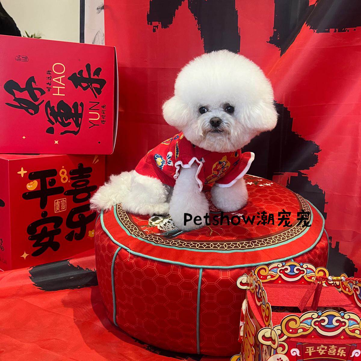 2025蛇年喜庆过年衣服泰迪比熊雪纳瑞猫咪小型犬毛衣小狗过年衣服