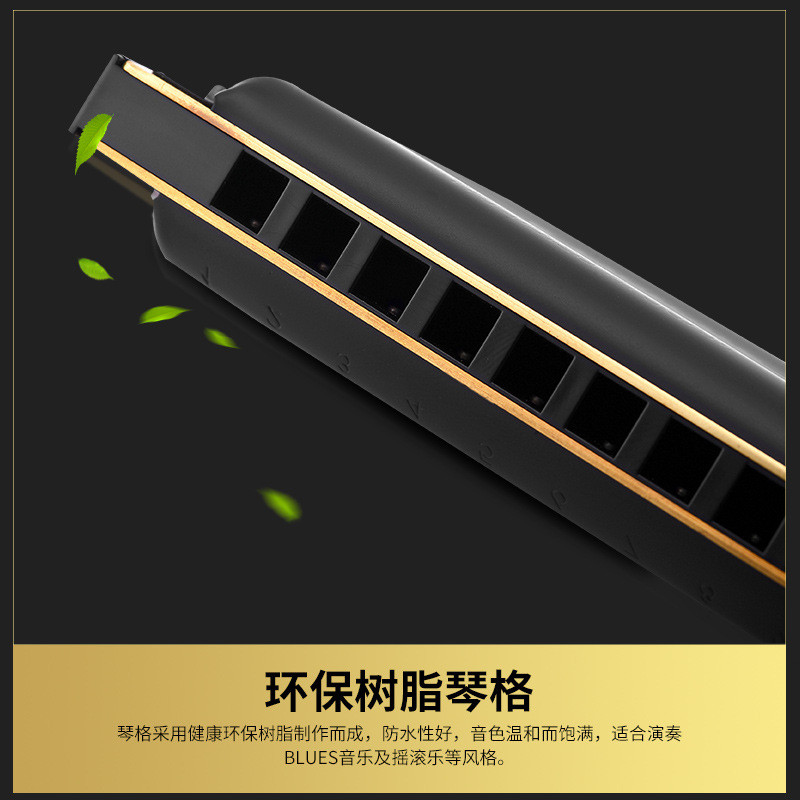 热销布鲁斯原装进口hohner德国10孔和莱十孔口琴proharpsp20升级