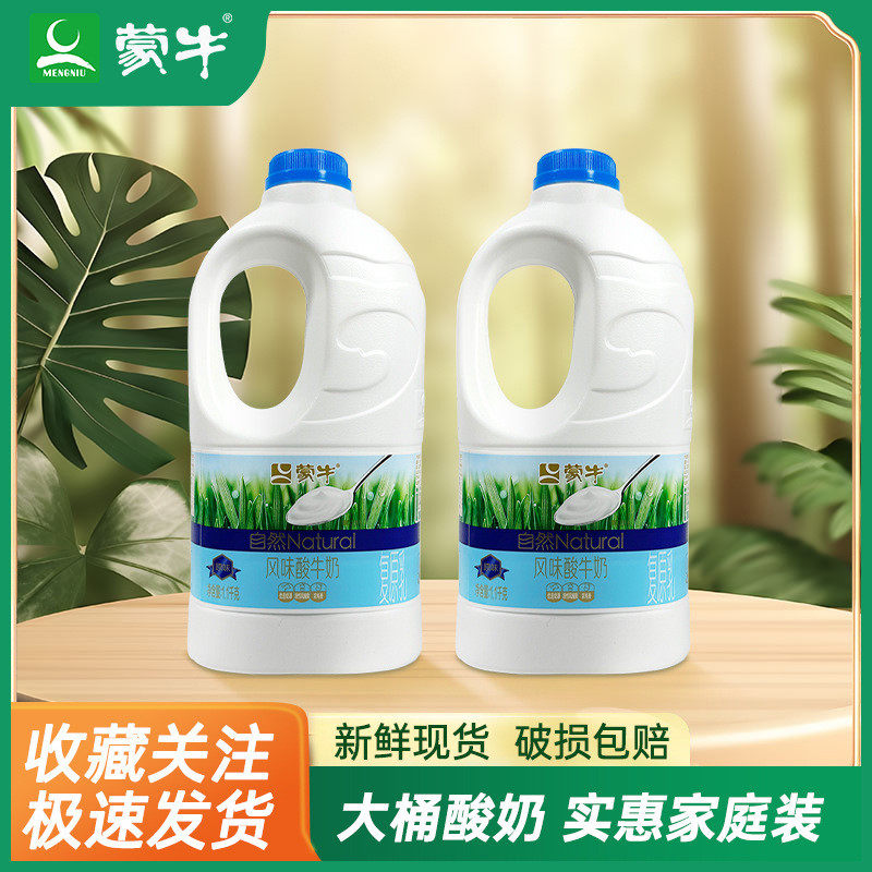 新货蒙牛风味酸牛奶1.1kg自然原味家庭大桶装水果捞专用酸奶碗营