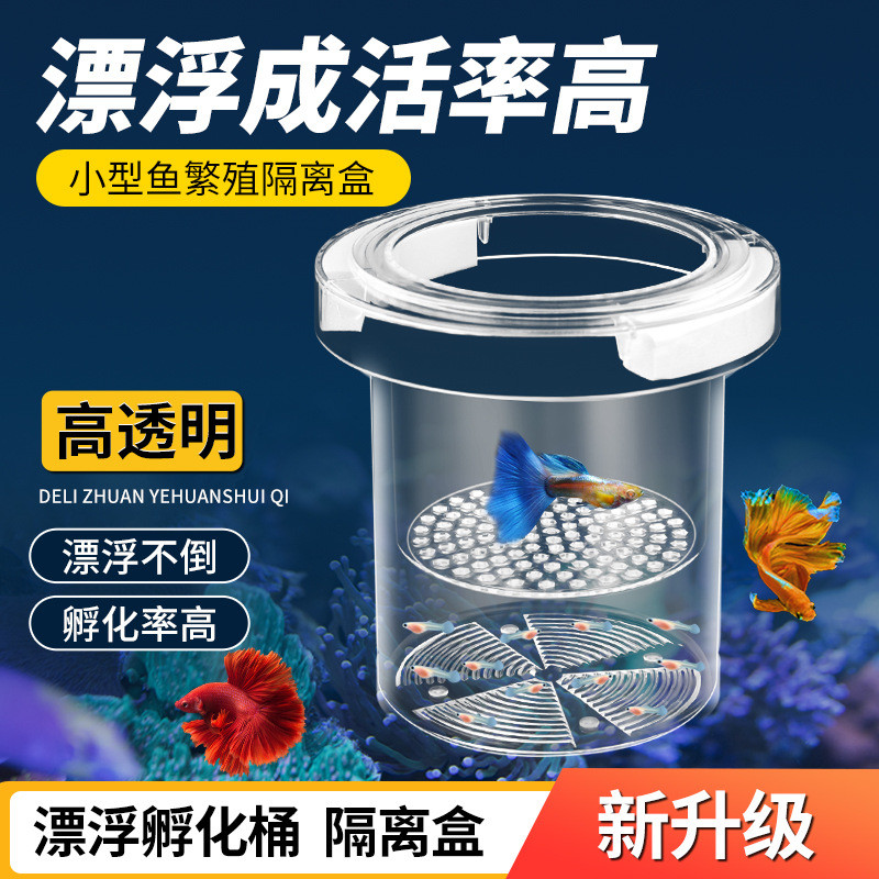 鱼缸隔离盒孔雀鱼繁殖盒凤尾斑马母鱼产房小鱼缸内胎生鱼产卵孵化