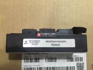 2YS0 MG25Q2YS91M282298G45Q M0GE50Q2YS40 P全新模块M1G25Q2YS4