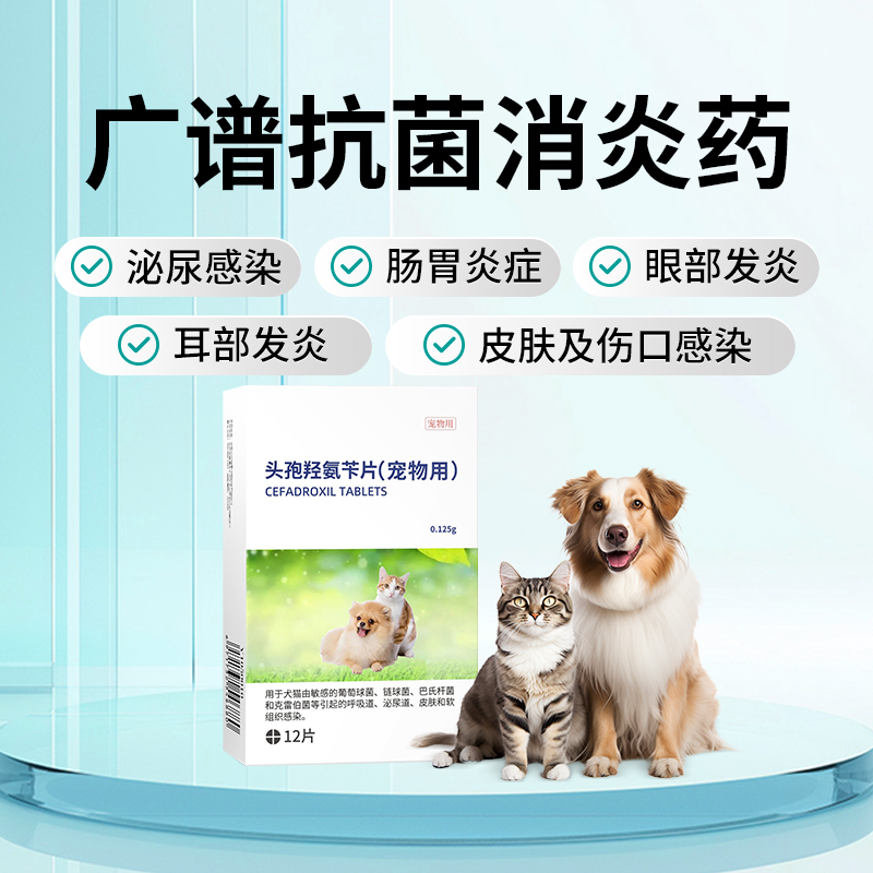 中农康畜利尿通猫用消炎药片