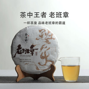 头春老班章百年古树生茶云南普洱茶茶香浓烈滋味厚实饱满茶气霸道