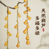 天然葫芦挂饰真葫芦串门对门家居挂饰藤编挂绳客厅入户门装 饰工艺