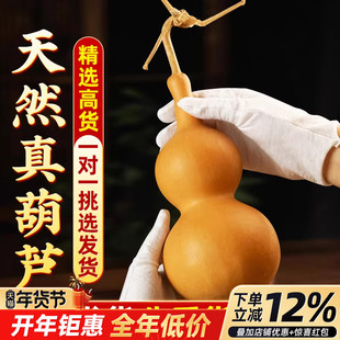 天然葫芦挂件真葫芦原生开口摆件镇宅招财龙头手把大号文玩工艺品