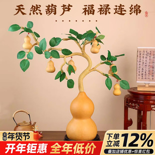 天然葫芦摆件一根藤上七个葫芦发财树镇宅招财大号客厅玄关卧室